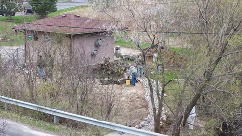 Winton Rain Garden (11)